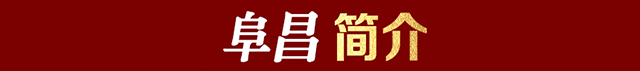 走进典当行